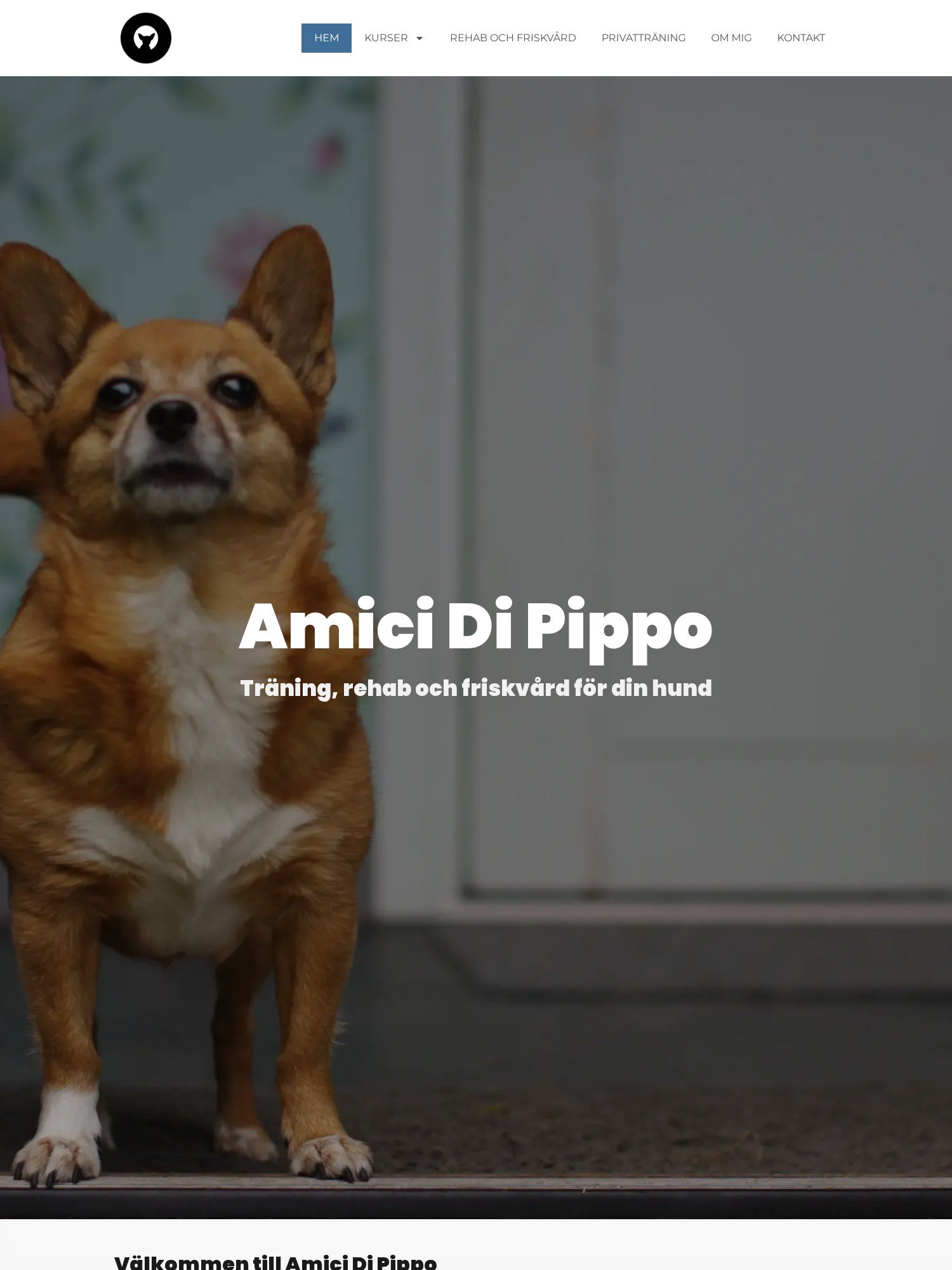 Amici Di Pippo – Hundkurs friskvard traning i Hammarby Sjostad Interwebsite Webbyrå