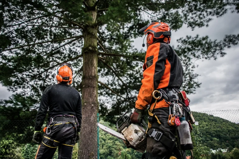 Arborist Interwebsite Webbyrå