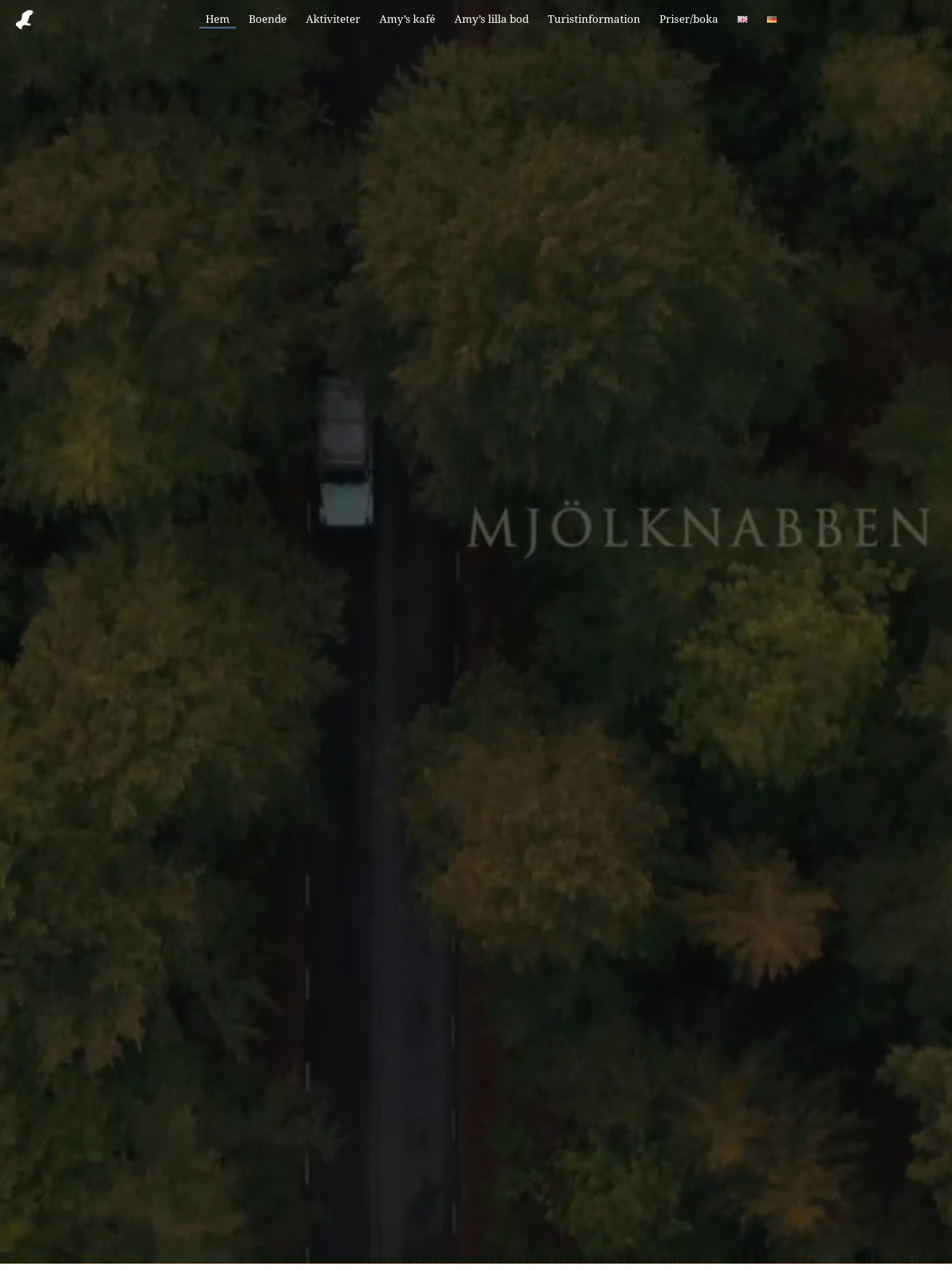 a car driving on a road surrounded by trees
