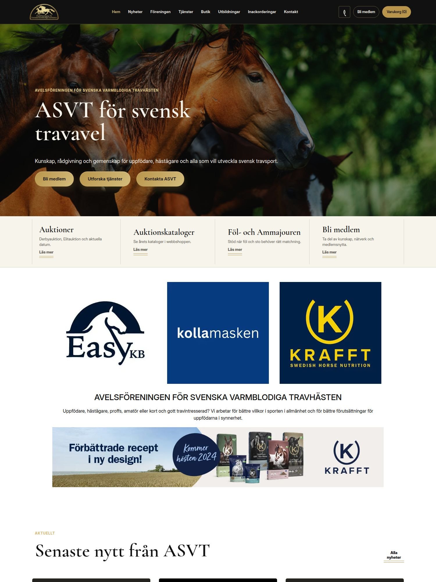asvt se 20260930 094403 Interwebsite Webbyrå