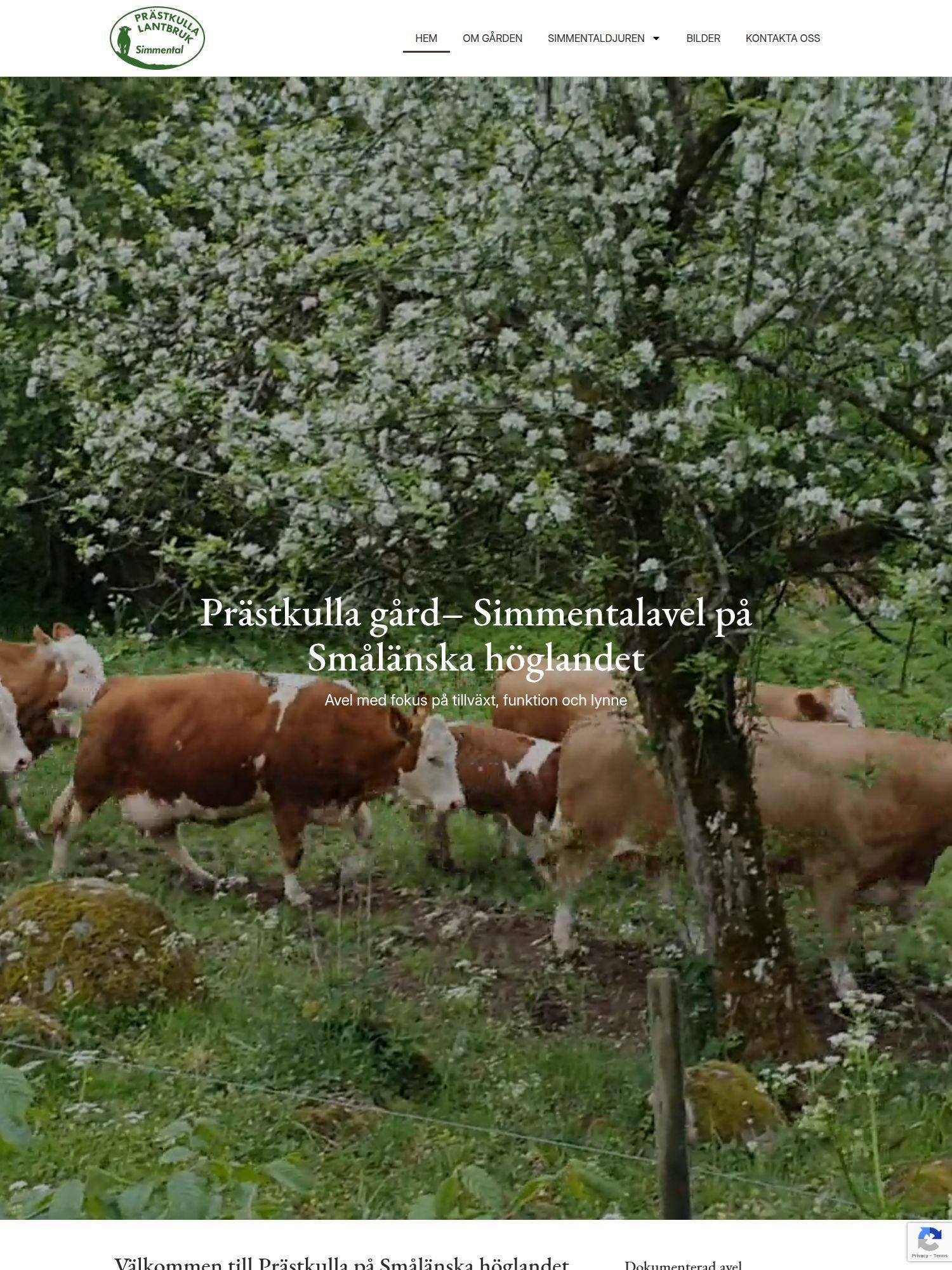 prastkulla se Interwebsite Webbyrå