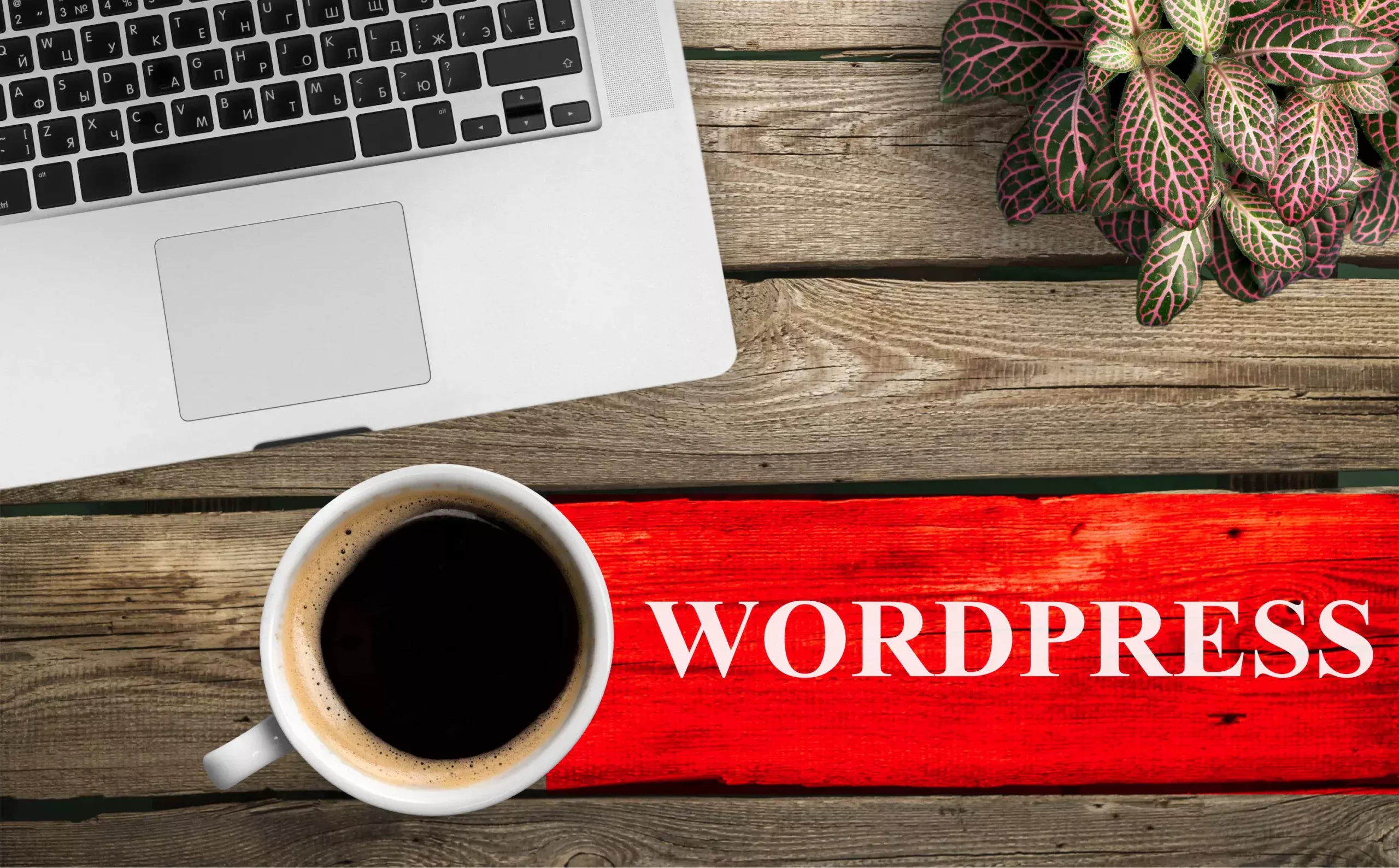 Wordpress hemsida 1 Wordpress hemsida